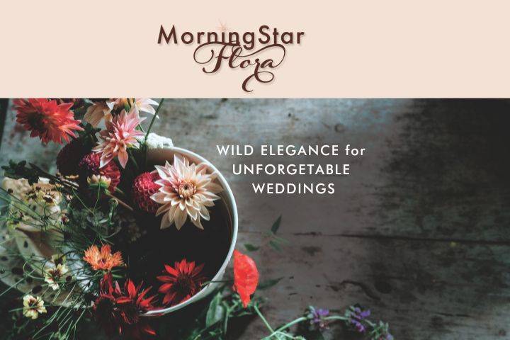 MorningStar Woollen & Flora