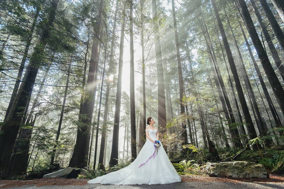 Lynn canyon, west vancouver