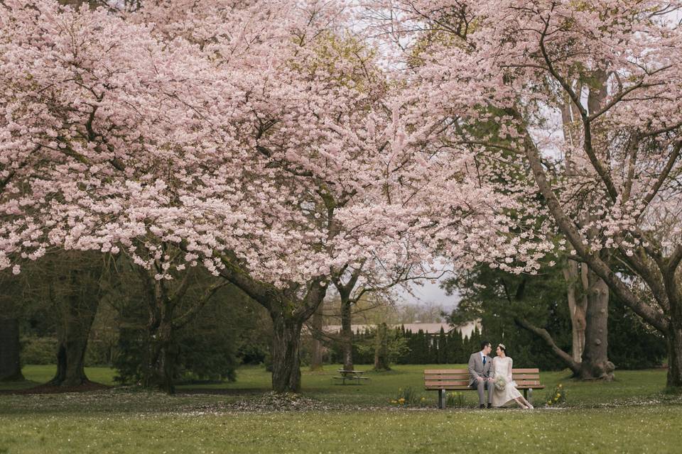 Stanley park, vancouver