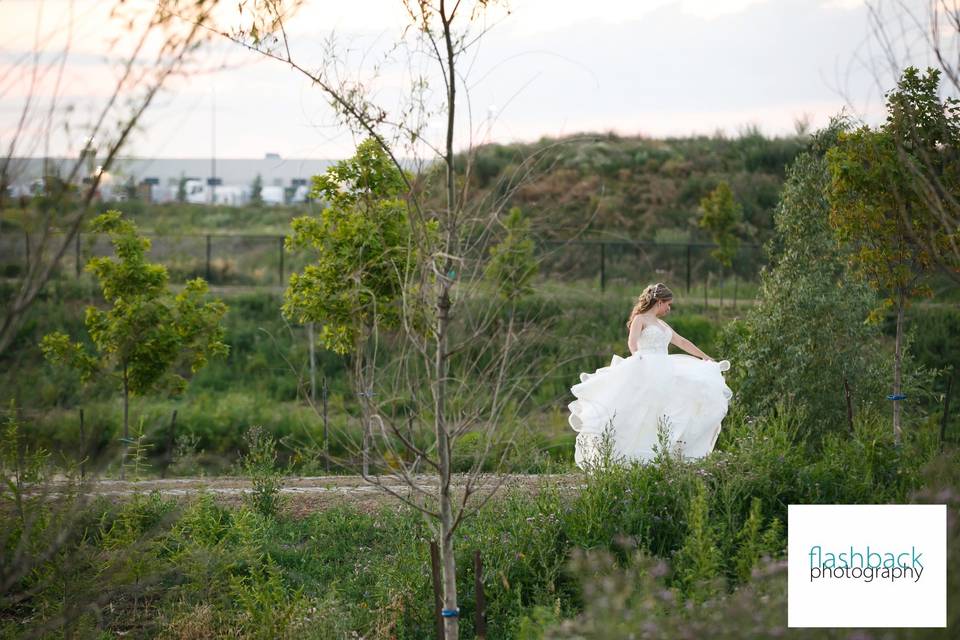 Landscape Bridal Portrait