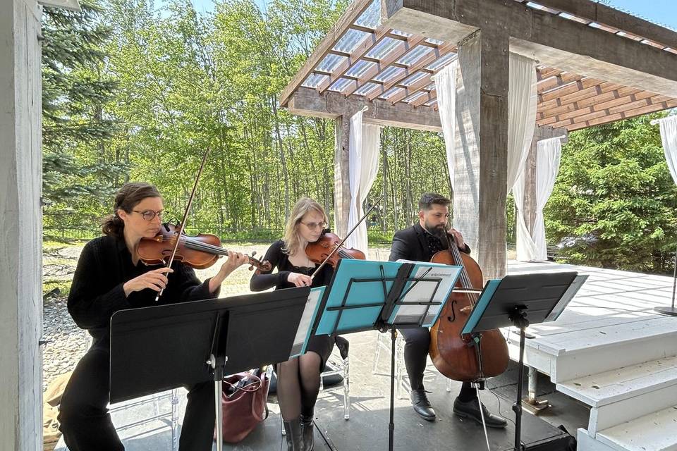 Wedding Ceremony String Trio