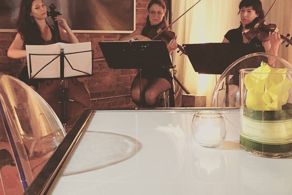 Cocktail String Trio