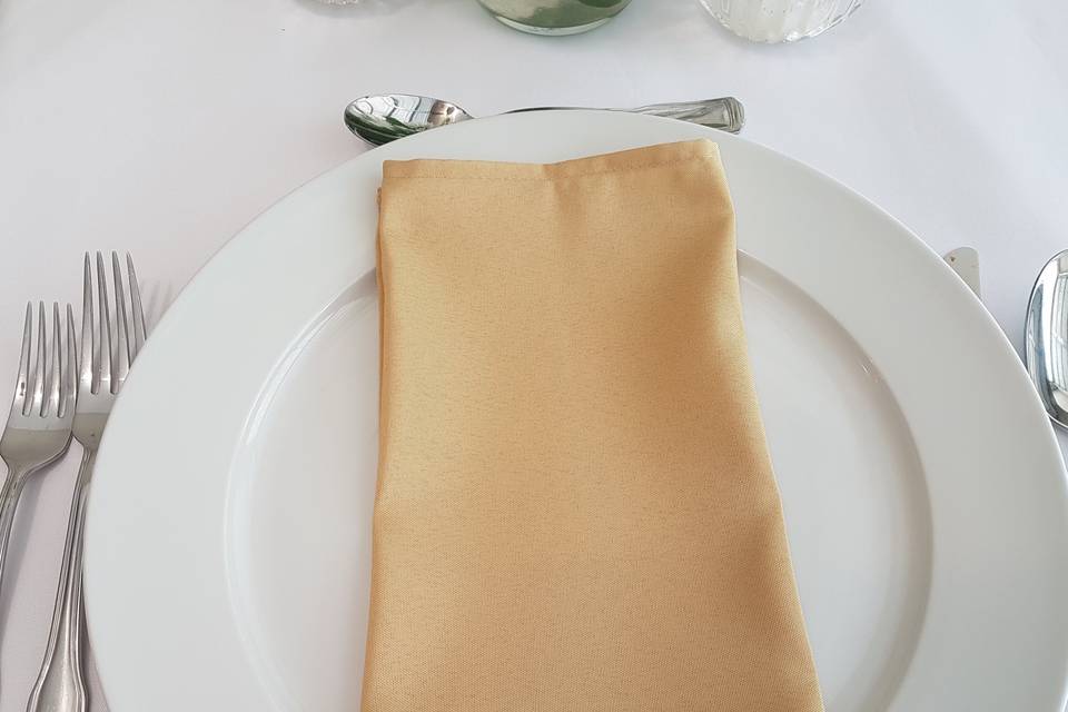 Champagne Napkin