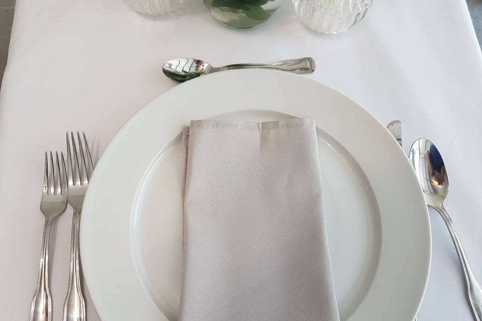 Silver Napkin