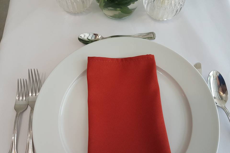 Silver Napkin