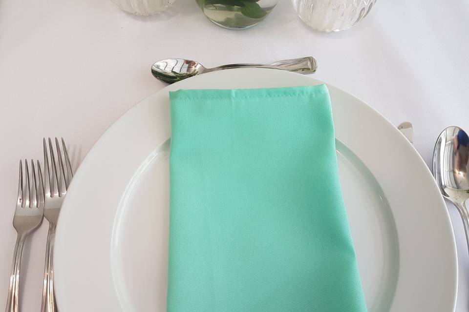 Teal Napkin