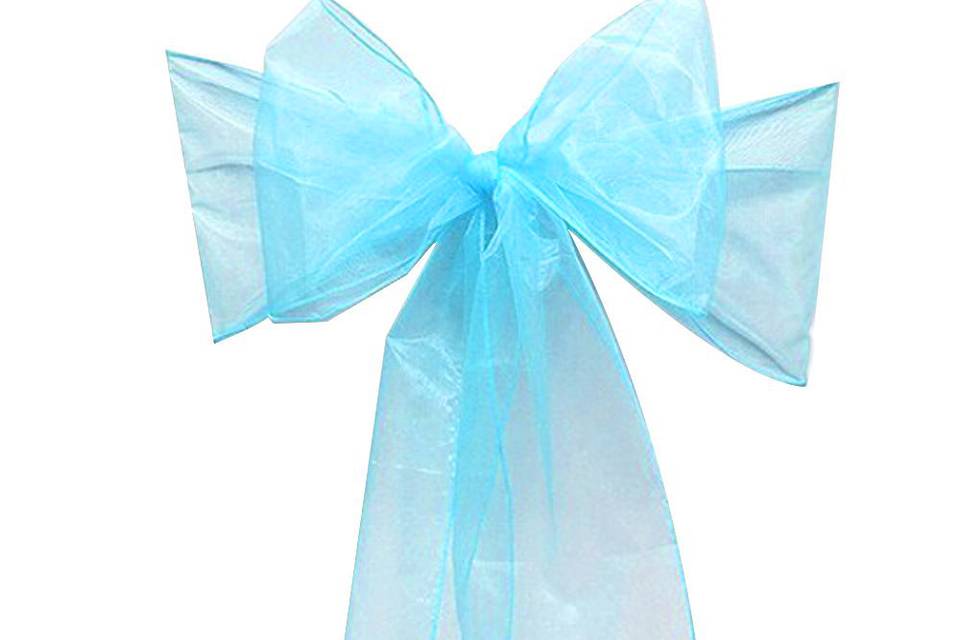 Aquamarine Organza Sash