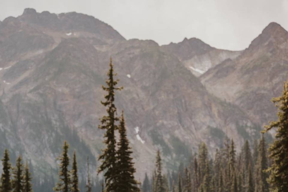 Wells Gray Park Wedding