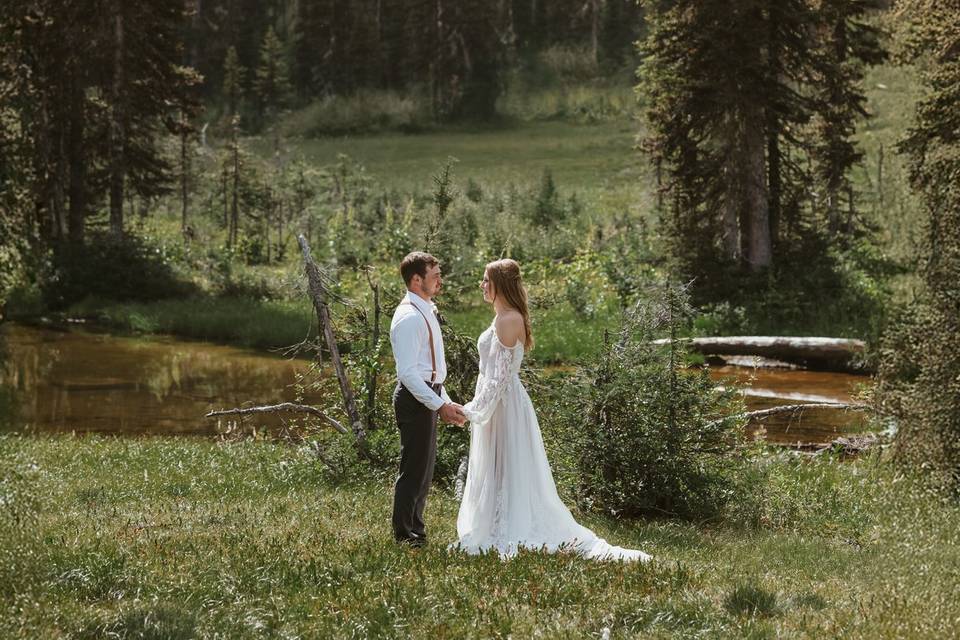 Wells Gray Park Wedding