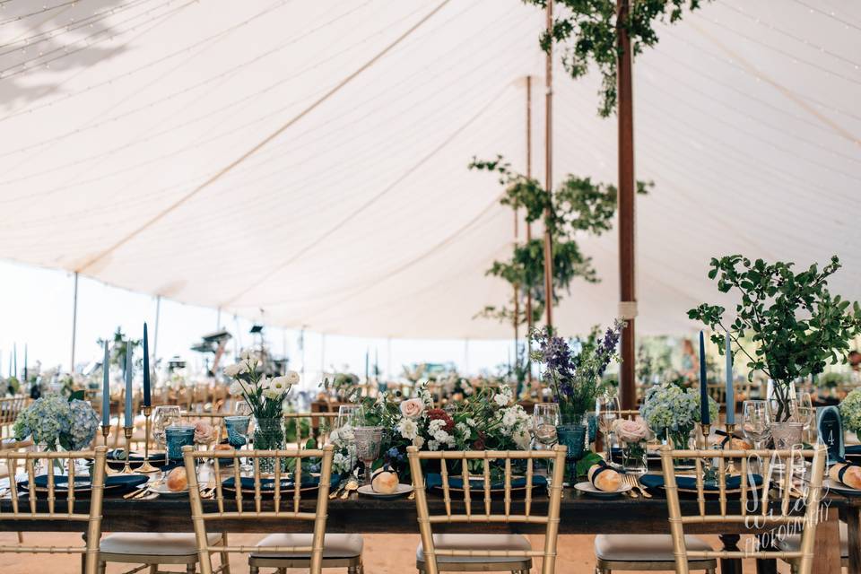 Guelph Tent and Event Rentals