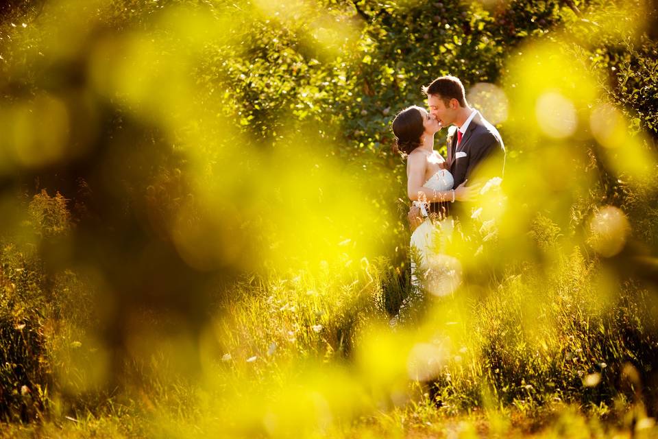 Fall Wedding at Gatineau Park