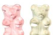 Best selling prosecco bears