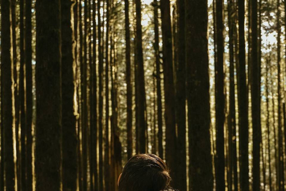 Forest Elopement