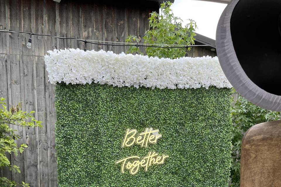 Boxwood Wall