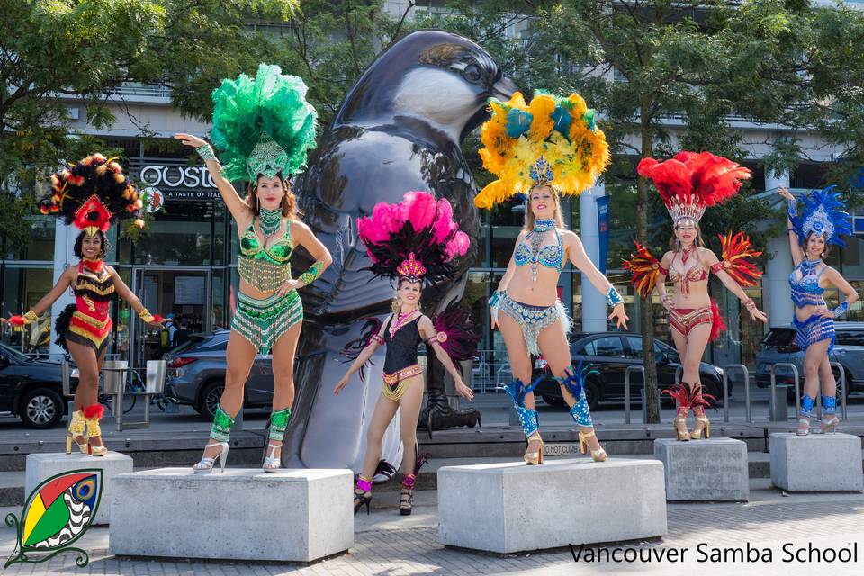 Vancouver Samba Birds