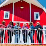 Barn Beauties