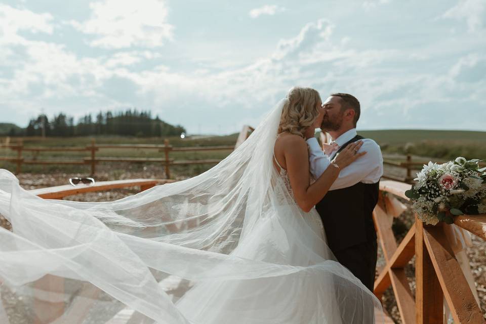 Kisses on the Bridge