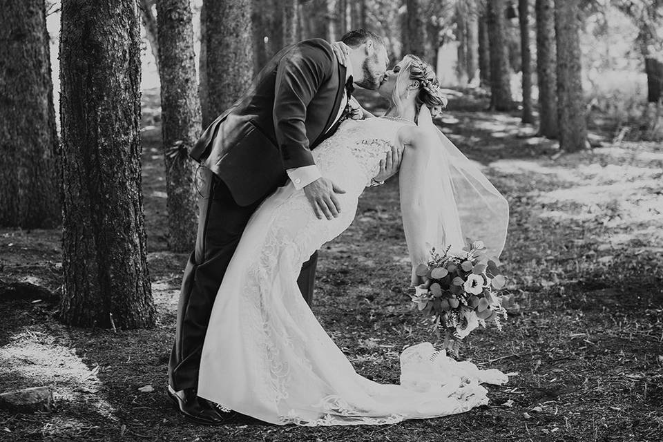 Dip and Kiss in The Trees