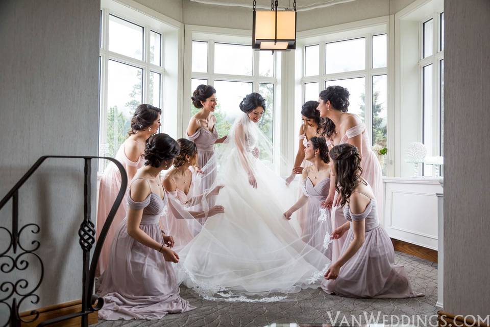 VanWeddings Cinematography & Photography