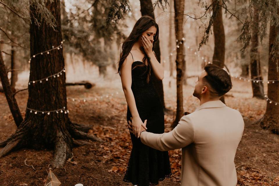 Surprise proposal capture