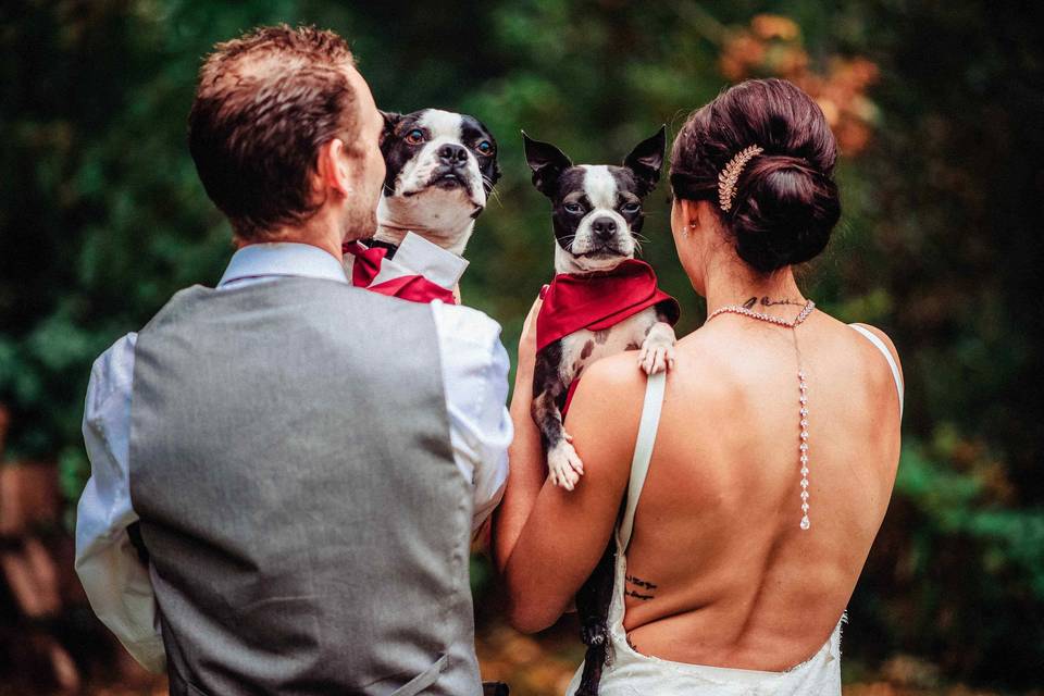 Married couple with their dogs - Photo Kings