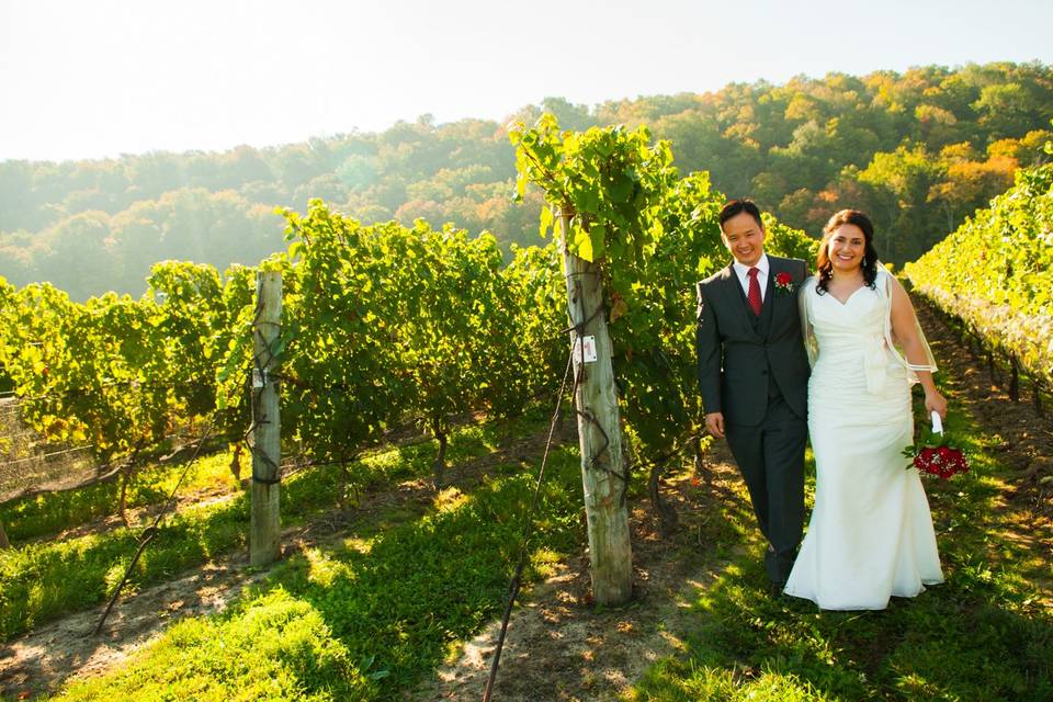 Winery wedding