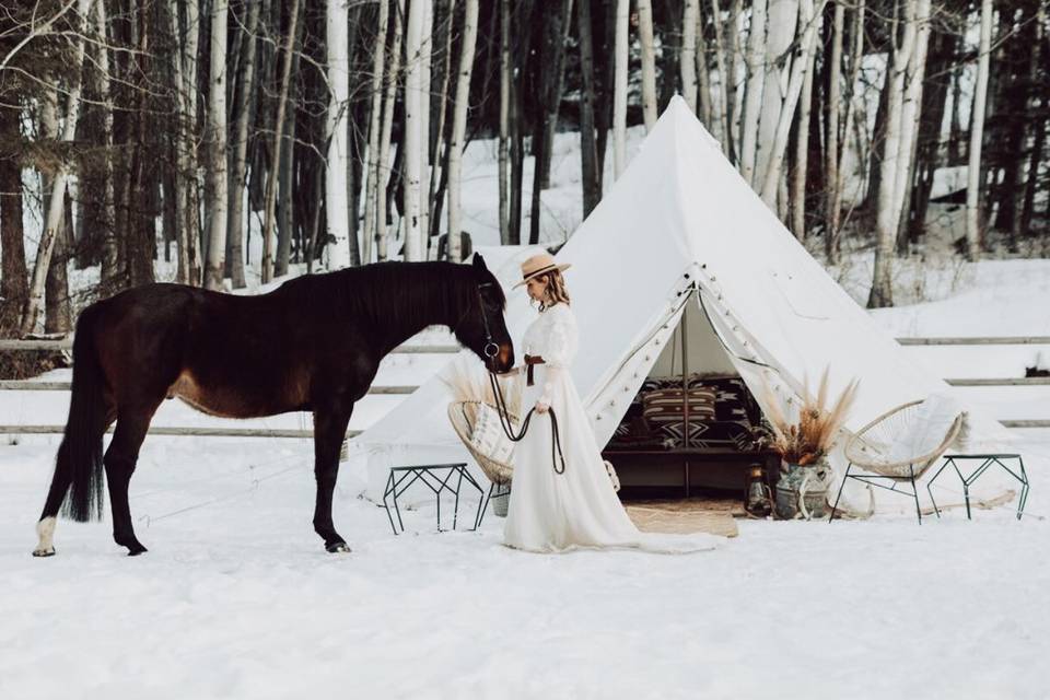Winter weddings (LOVE)