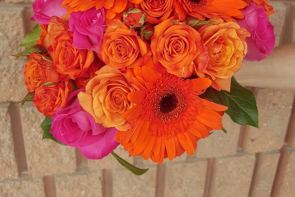 Bright Oranges and Pinks