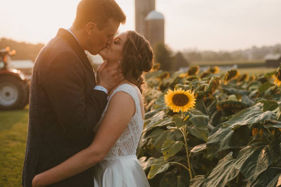 Sunflower smooches