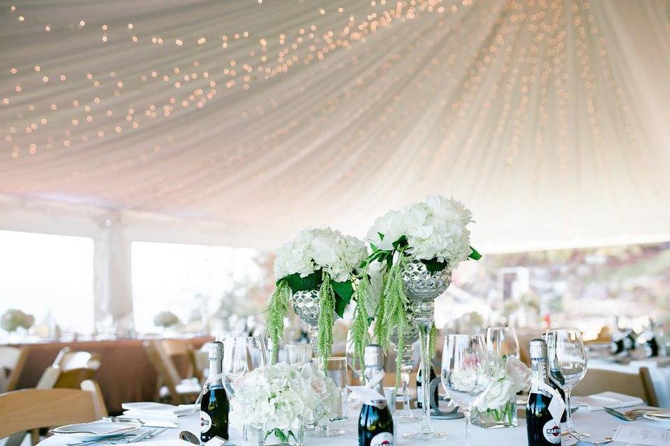 Tent Liner & Twinkle Lights