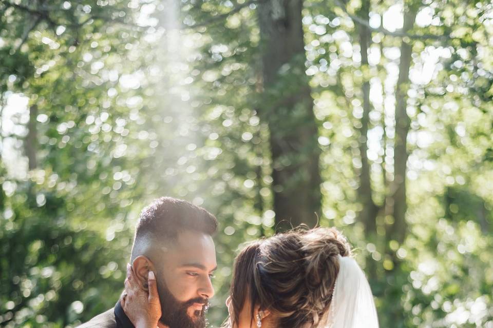 South Asian Wedding