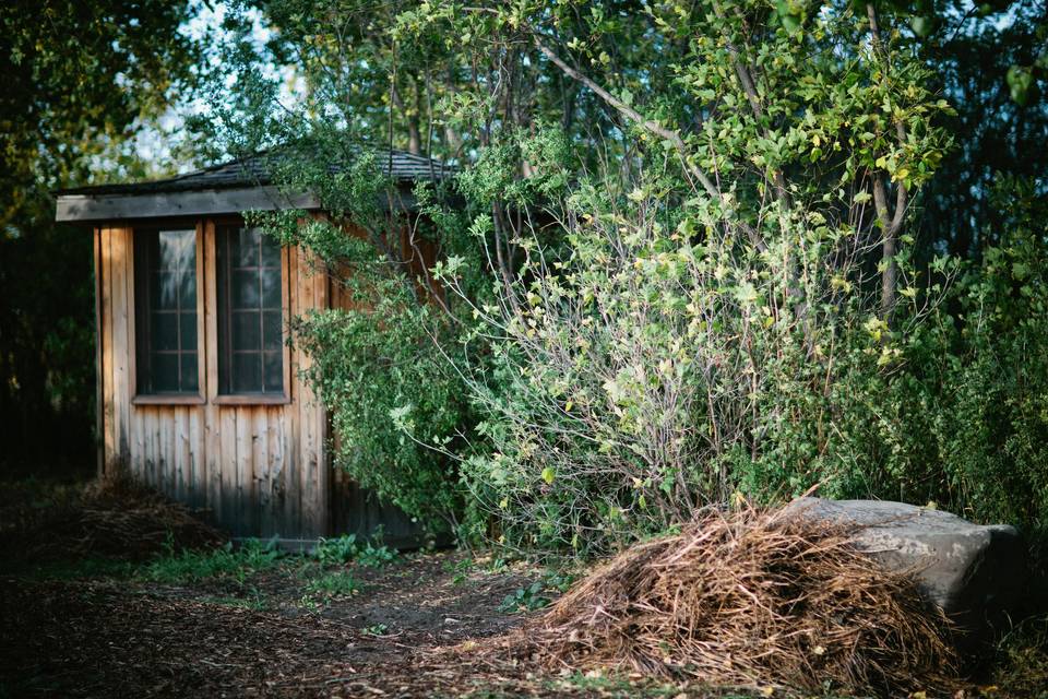 Potting shed in shelterbelt