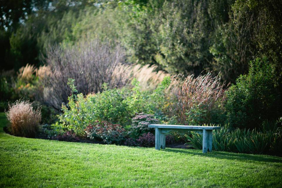 Long border garden