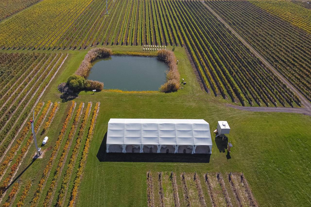 Bella Terra Vineyards - Reviews, Photos & Deals 2026 - Niagara on the ...