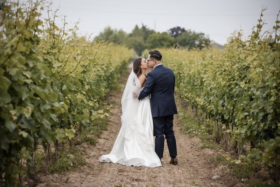 Vineyard Wedding