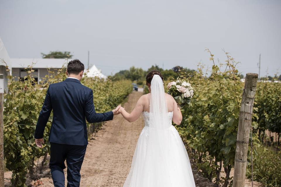 Vineyard Wedding