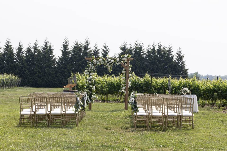 Vineyard Wedding