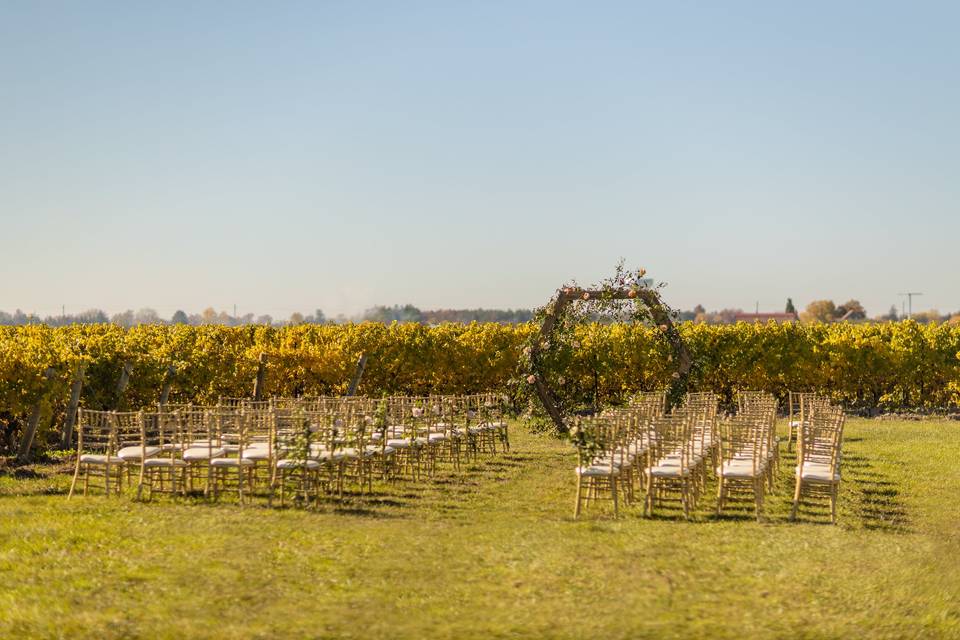 Vineyard Wedding