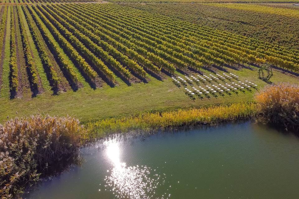 Vineyard Pond