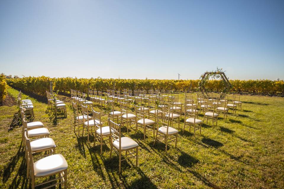 Vineyard ceremony