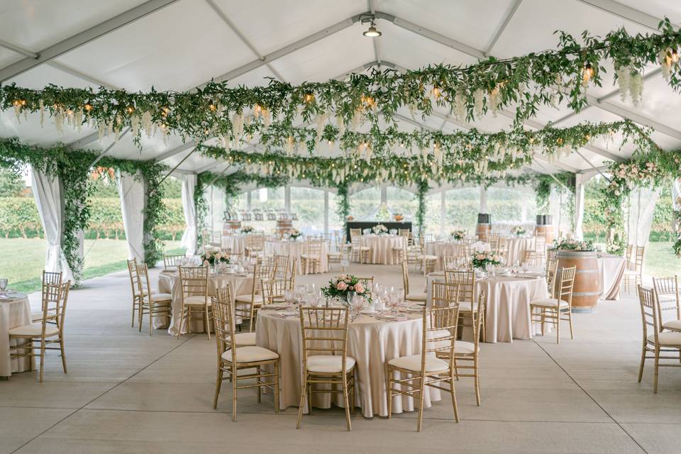 Tented terrace with vines