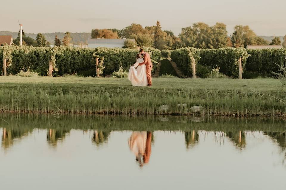 Vineyard Water