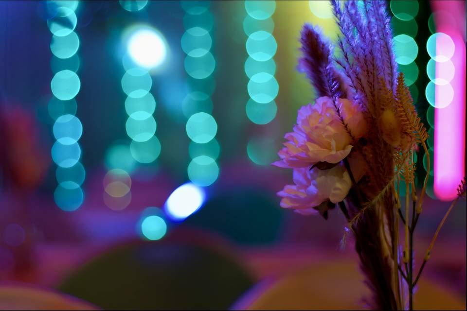 Micro Weddings in Toronto