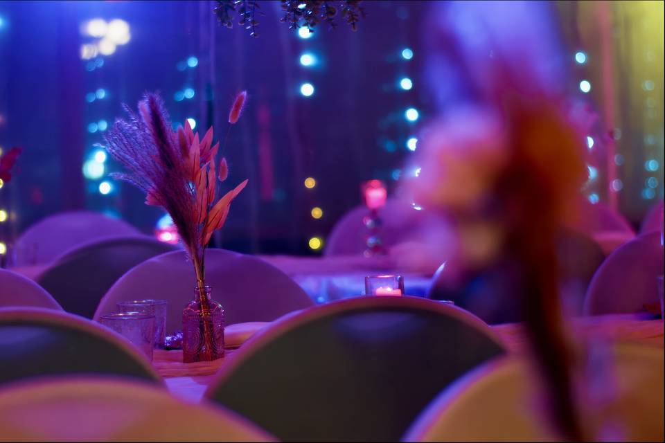 Micro Weddings in Toronto