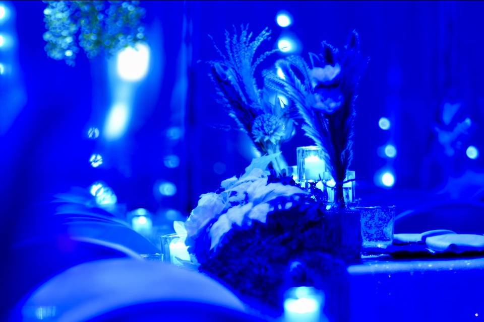 Micro Weddings in Toronto