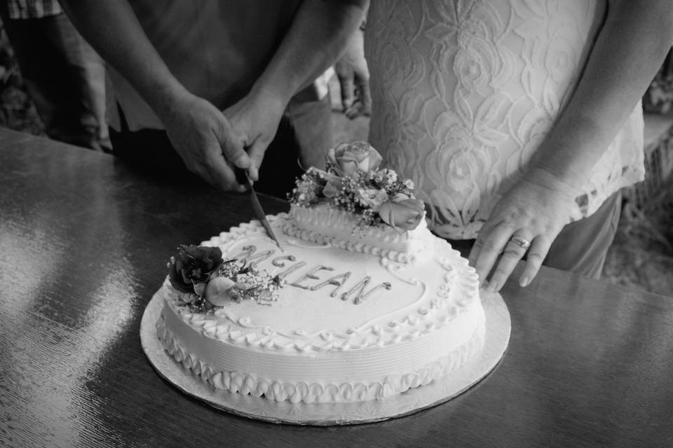 Wedding cake cutting