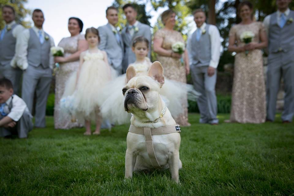 Banff Wedding photographer