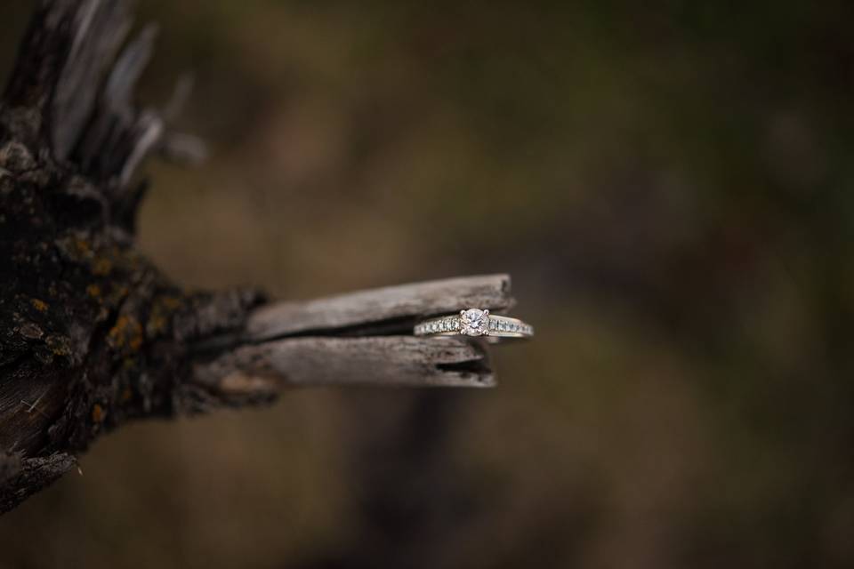 Edmonton wedding photo ring