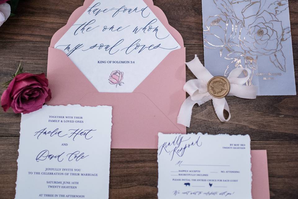 Vellum Invitation Blush