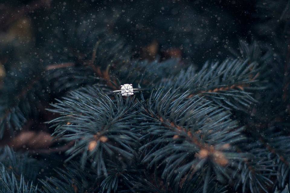 Winter Ring Shot